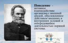 Форми поведінки тварин Характеристика вроджених форм поведінки